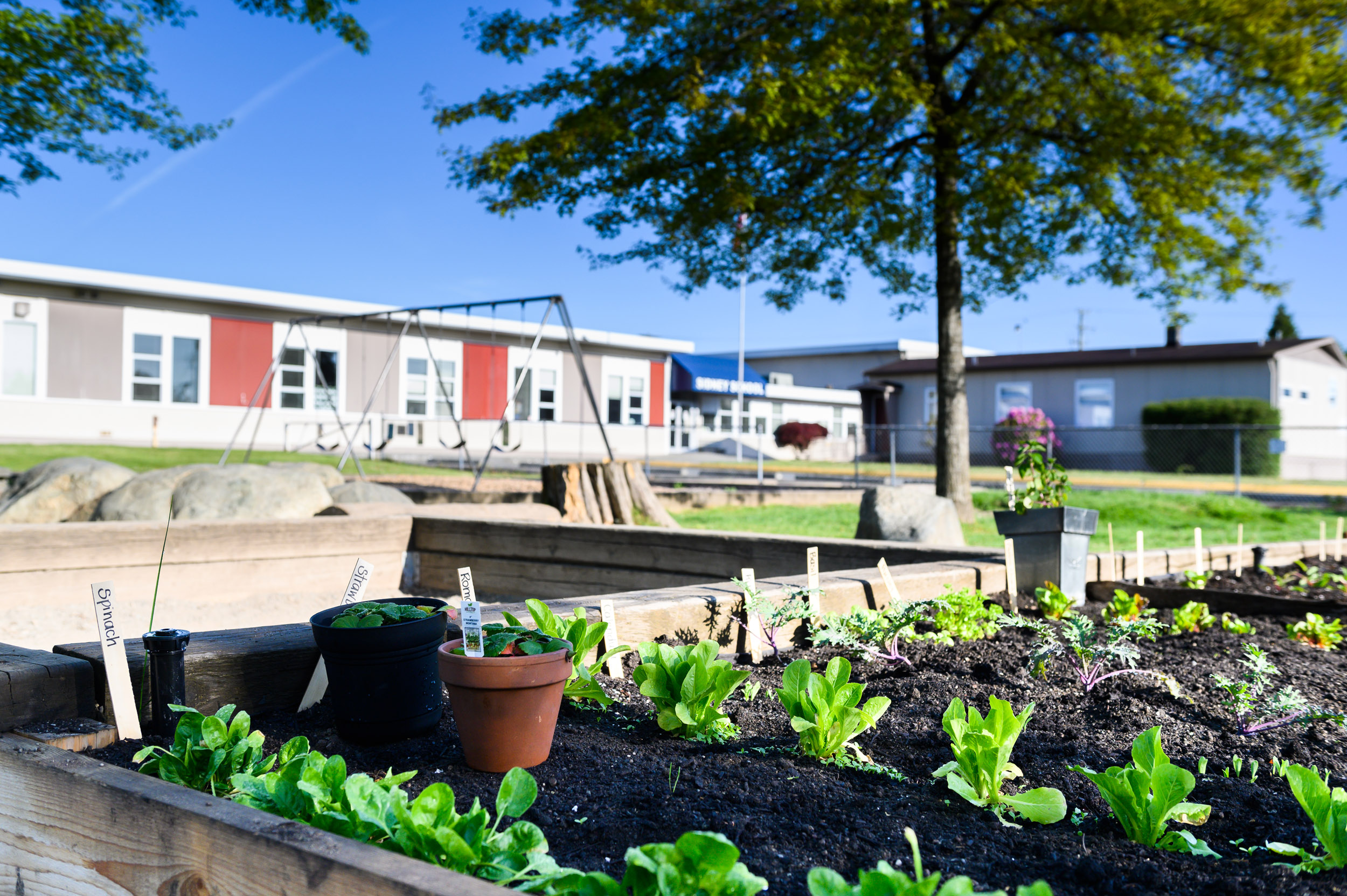 About Sidney Elementary